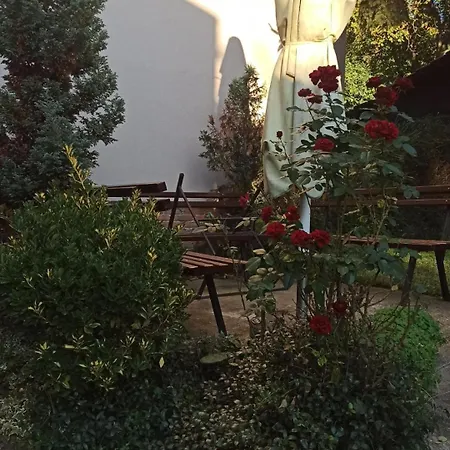 Apartment Oaza Olja Belgrade