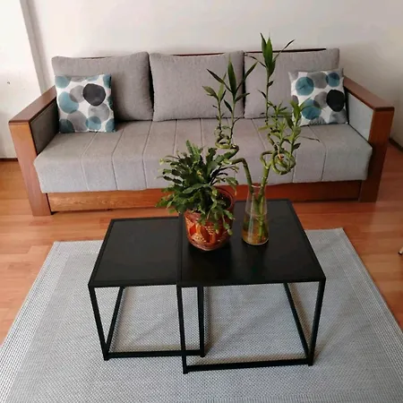 Oaza Olja ベオグラード