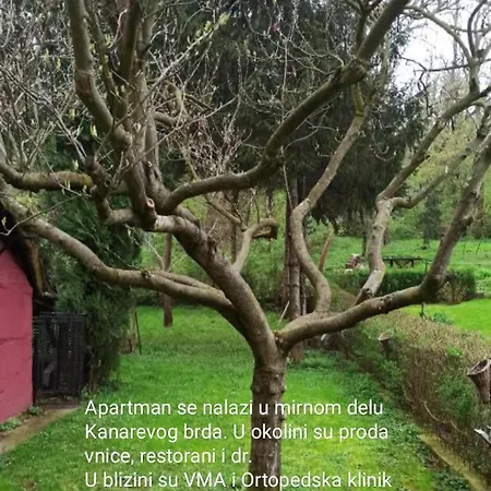 Appartamento Oaza Olja Belgrado